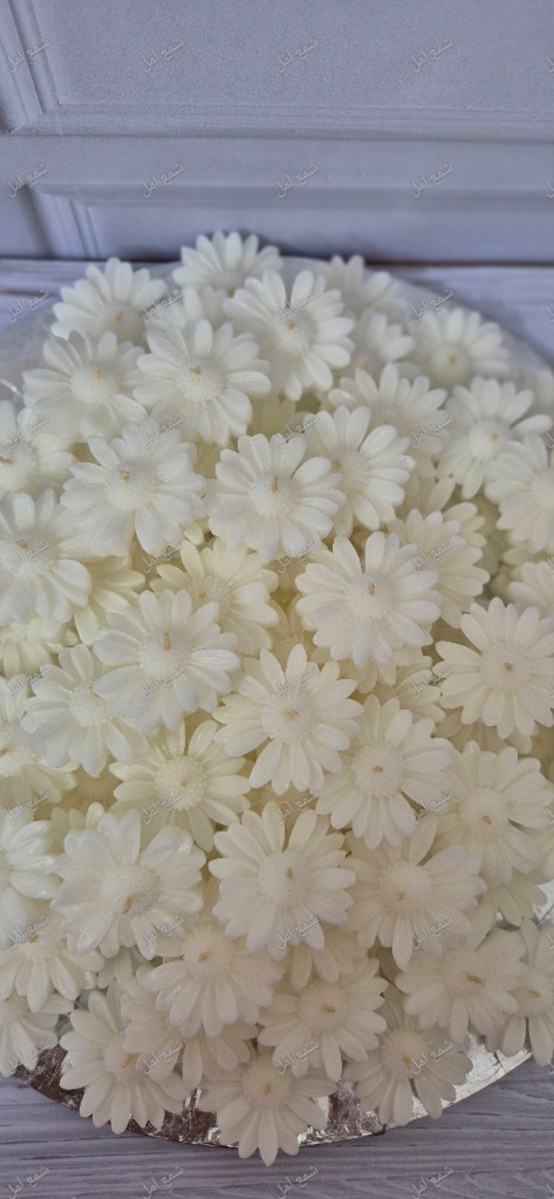 پک ۱۰۰ تایی شمع گل بابونه