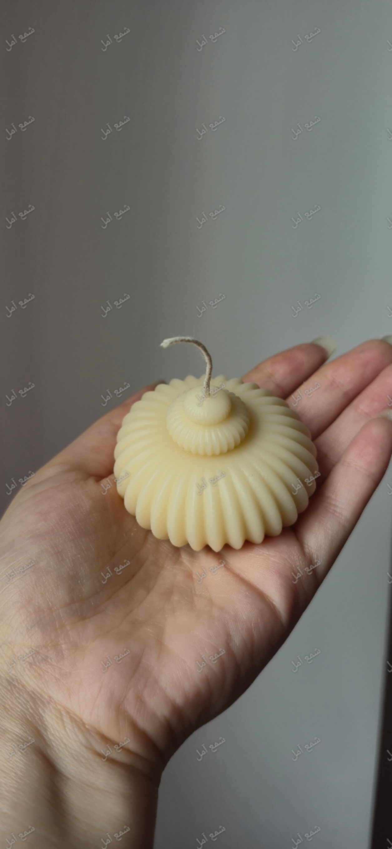 شمع گوی سلطنتی